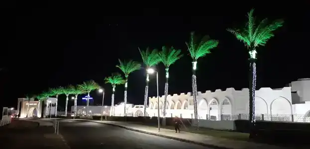 Sunrise Remal Resort - 63