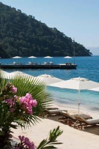 D Resort Gocek Special Category - 71