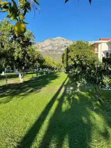 Orange County Kemer - 31