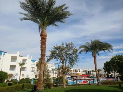 Sharm Bride Resort Aqua & SPA - 81