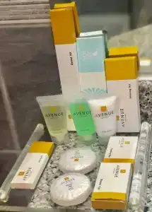 Avenue Dubai - 78