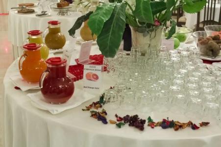 Panama Majestic - 80