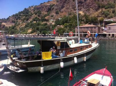 Assos Behram Special Class Adult Only 12 - 36