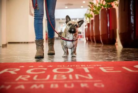 ARCOTEL Rubin - im Szeneviertel St Georg - 6