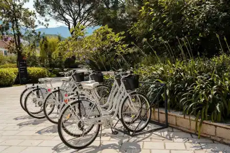 Lazure & Marina - 22