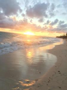 Occidental Punta Cana - All Inclusive Resort - Barcelo Group "Newly Renovated" - 35