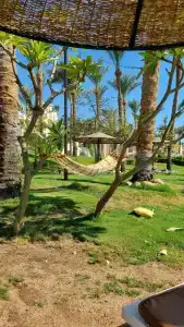 Grand Rotana Resort & Spa - 18