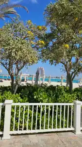 The St. Regis Abu Dhabi - 29