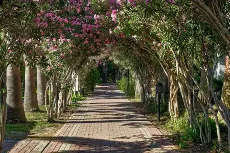 Seaden Sea World Resort & Spa - 11