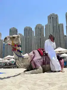 Sofitel Dubai Jumeirah Beach - 53