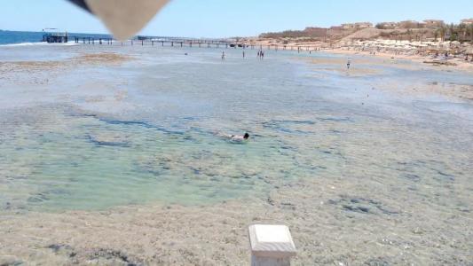 Rehana Sharm Resort - Aquapark & Spa - Couples and Family Only - 32