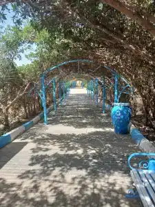 Club Reef Resort & Spa - 42