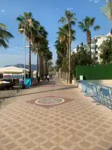 Blue Bay Platinum - 25