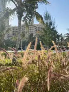 Waldorf Astoria Ras Al Khaimah - 45