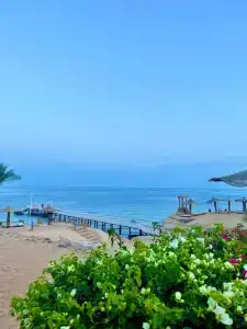 Monte Carlo Sharm Resort & Spa - 91