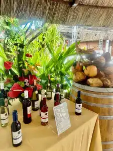 Casuarina Resort and Spa - 98