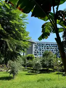 Bosphorus Sorgun - 8