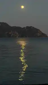 Grand Yazici Club Turban Termal - 97