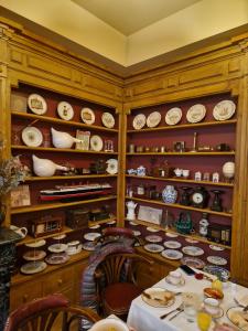 Bayard Bellecour - 17