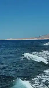 Jaz Mirabel Resort - 64