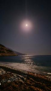 Suncity - Beach Club - 89