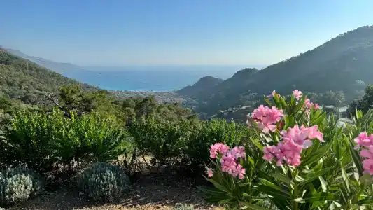 Suncity - Beach Club - 76