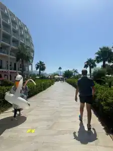 Green Nature Diamond - 71