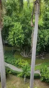 Sunshine Garden Resort - SHA Extra Plus - 76