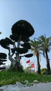 Sentido Trendy Verbena Beach - 35