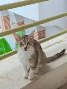 Limak Limra & Resort Kemer - Kids Concept - 74