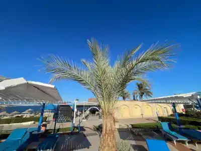 Dreams Vacation Resort - Sharm El Sheikh - 49