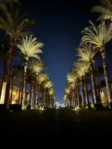 Renaissance Sharm El Sheikh Golden View Beach Resort - 82