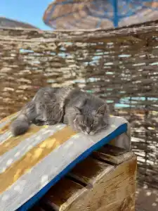 Empire Beach Resort - 27