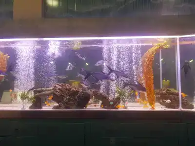 Aquaworld Belek - 91