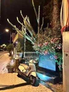 Bitez Garden Life - 69