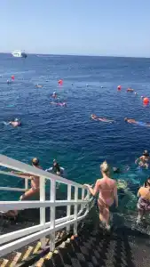 Sunrise Remal Beach Resort - 3