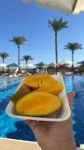 Sunrise Remal Beach Resort - 94