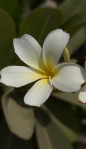 Avani Palm View Dubai & Suites - 23