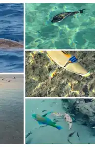 Cataract Layalina Naama Bay - 21