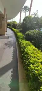 Tui Blue Barut Andız-All Inclusive-Adults Only - 55