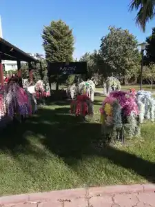 Amons Belek - Adult Only - 88