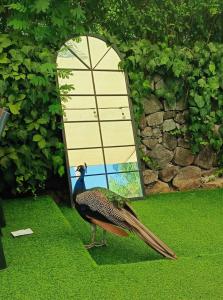 Berke Ranch&Nature - 32