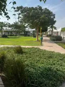 Shams Safaga Resort - 54