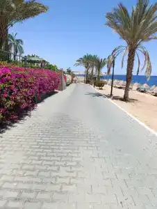 Sheraton Sharm, Resort, Villas & Spa - 73