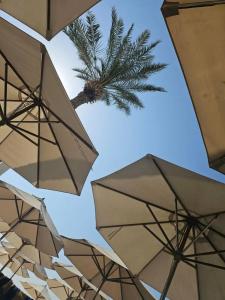 Hilton Dubai Jumeirah - 37