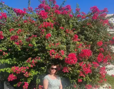 Marbella Resort - 78