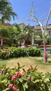 Tropitel Dahab Oasis - 60