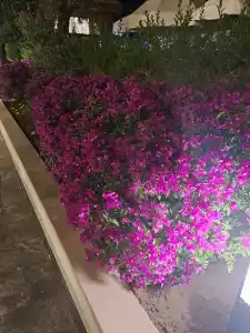 Palm Wings Kusadasi Beach Resort&Spa - 76