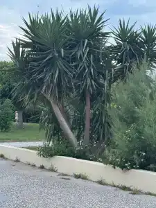 Adalya Resort & Spa Adults Only - Ultra All Inclusive - 93