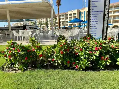 Pickalbatros White Beach Resort - Hurghada - 21